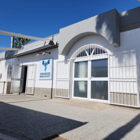 Phoenix Brasserie - Restaurante